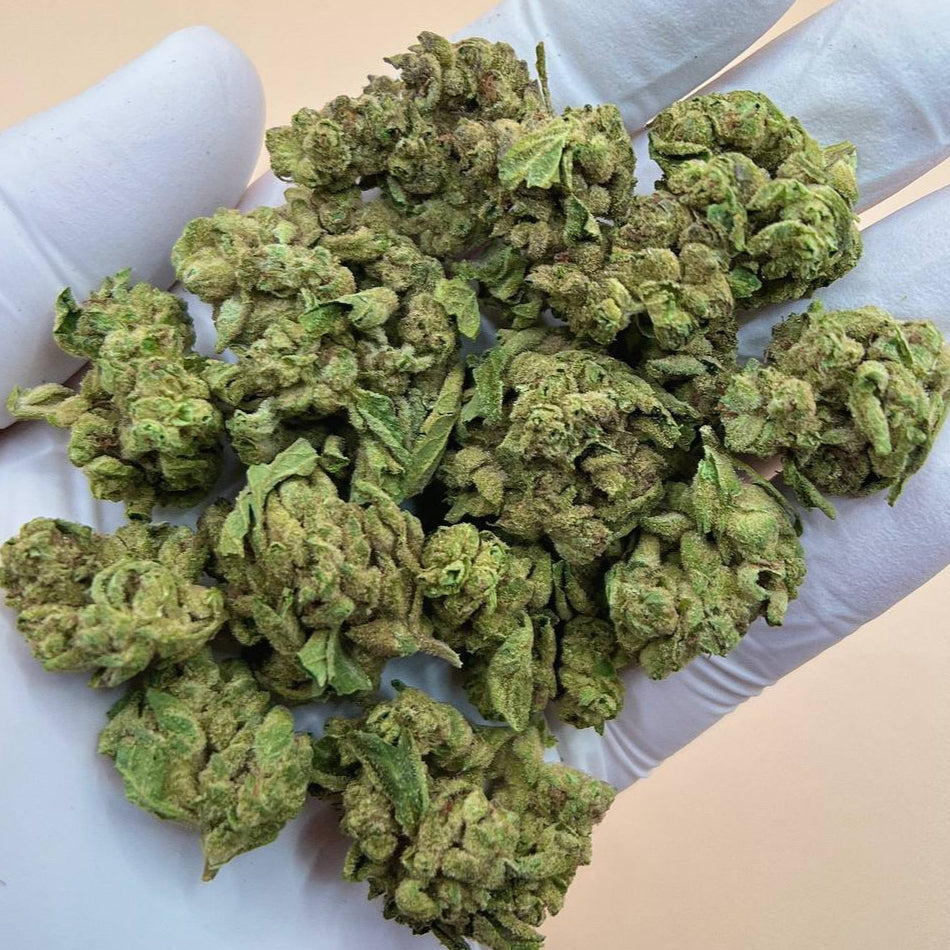 Chemdog 91 x GSC