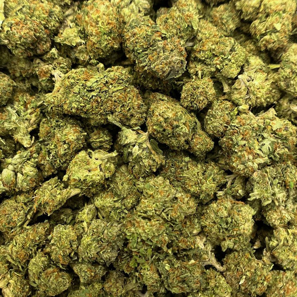 Gelato 41 + Kush Mintz