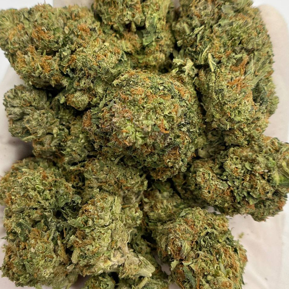 Gelato 41 + Kush Mintz