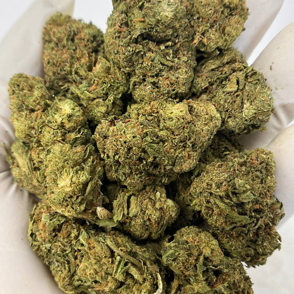 Lemon Cherry Gelato
