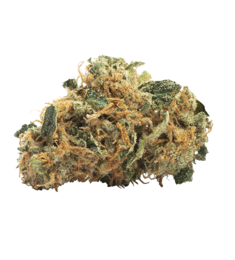 Chemdog 91 x GSC