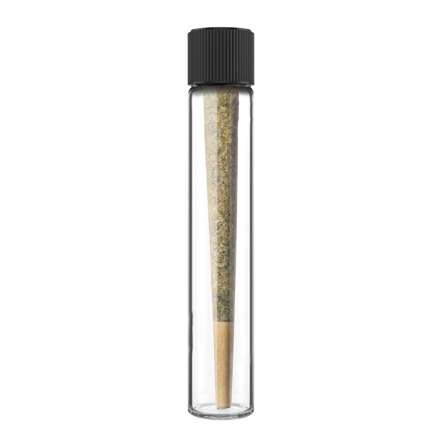Chemdog 91 x GSC