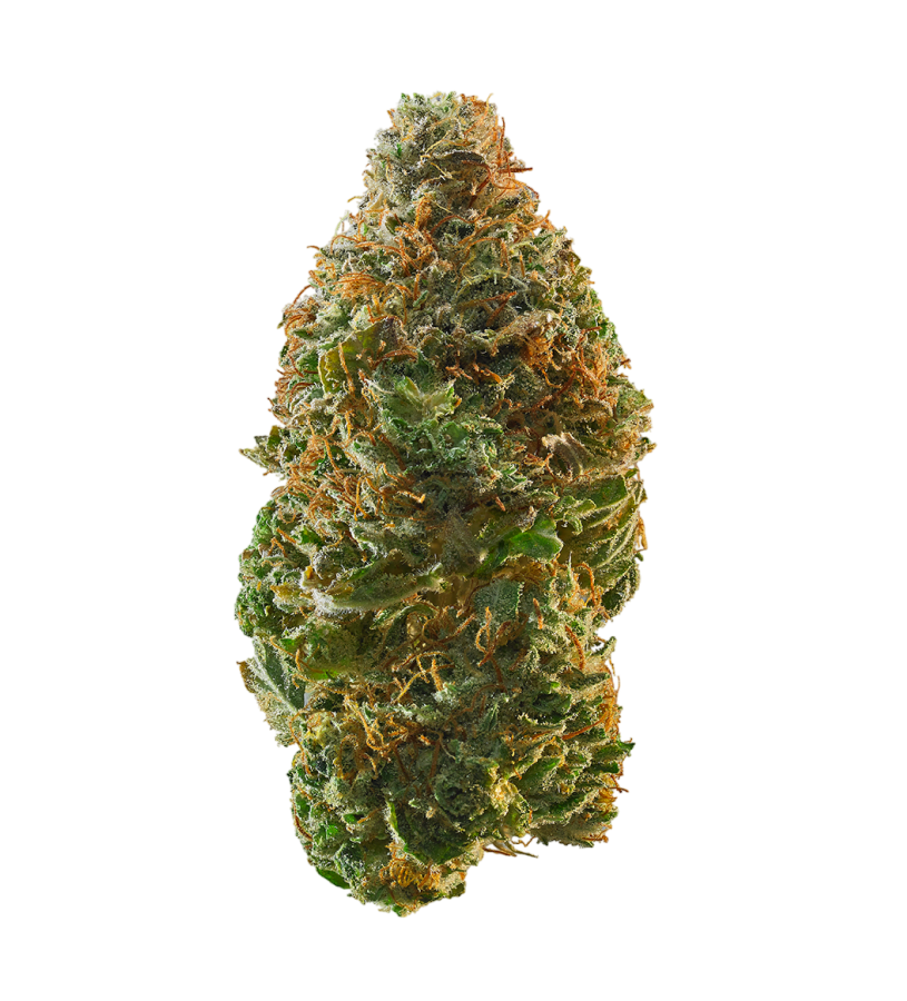 Trainwreck